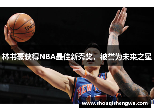 林书豪获得NBA最佳新秀奖，被誉为未来之星