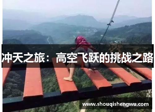 冲天之旅：高空飞跃的挑战之路