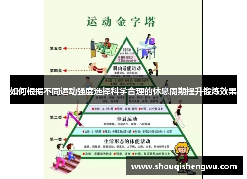 如何根据不同运动强度选择科学合理的休息周期提升锻炼效果